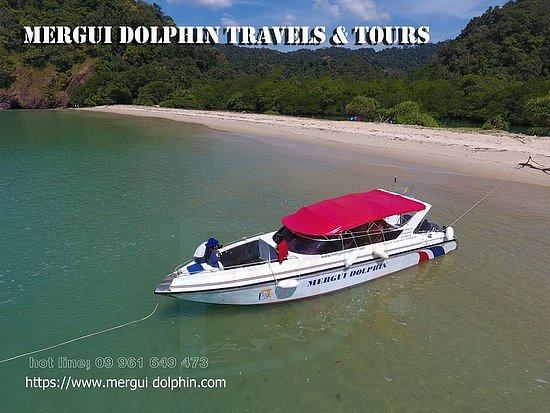 Mergui Dolphin Travel & Tours image