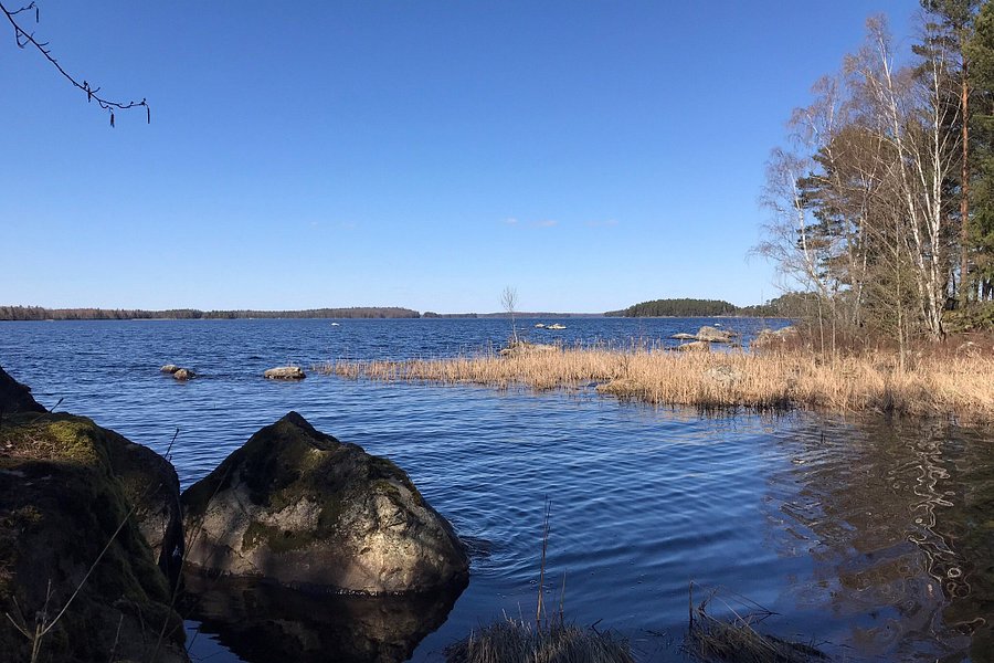 Åsnens National Park image