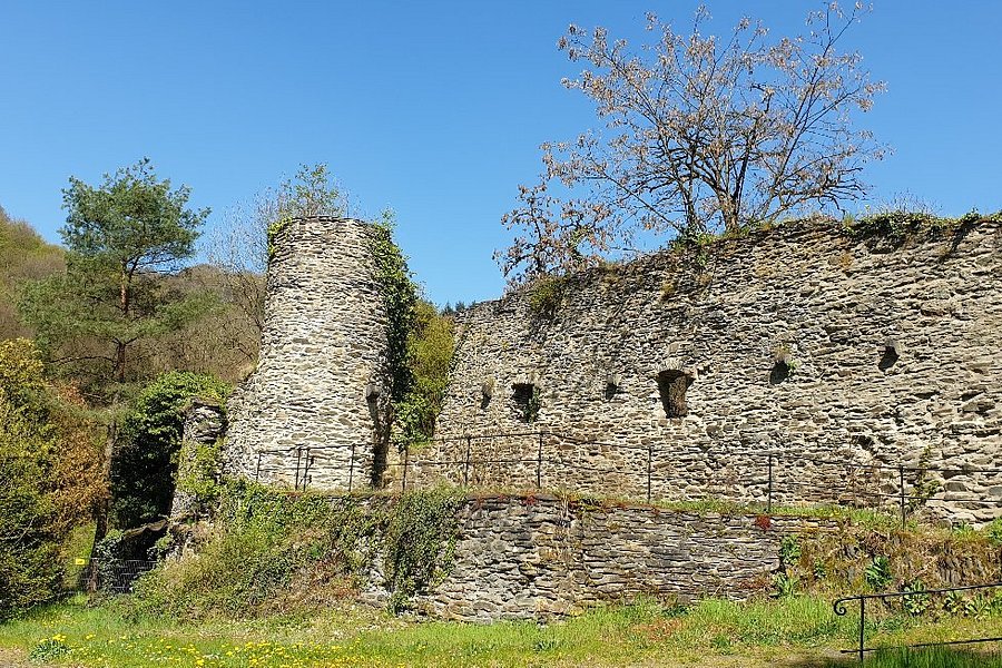 Burg Altwied image