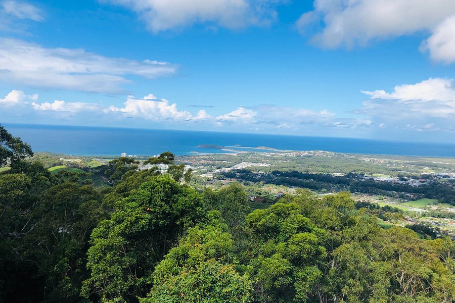 Sealy Lookout image