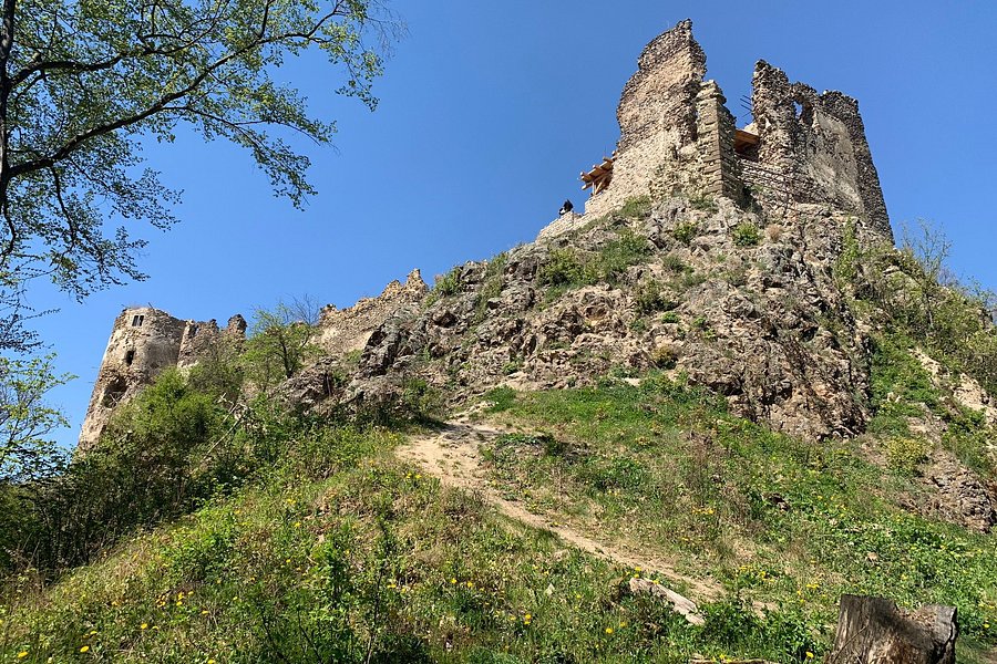 Sasovsky hrad image