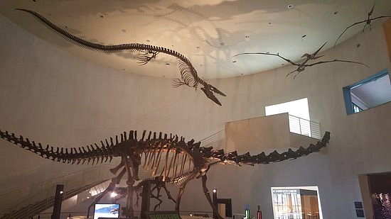 Mokpo Natural History Museum image