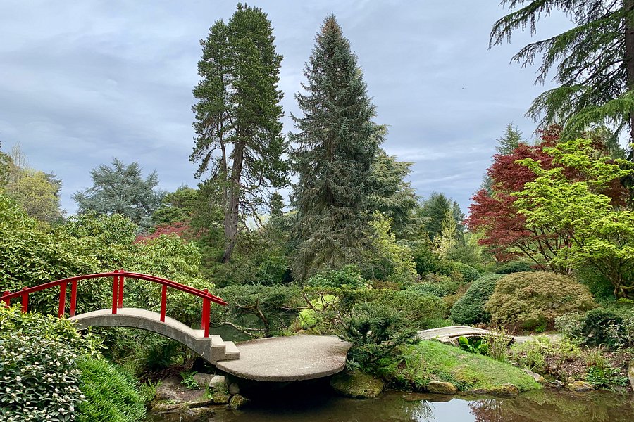 Kubota Garden image