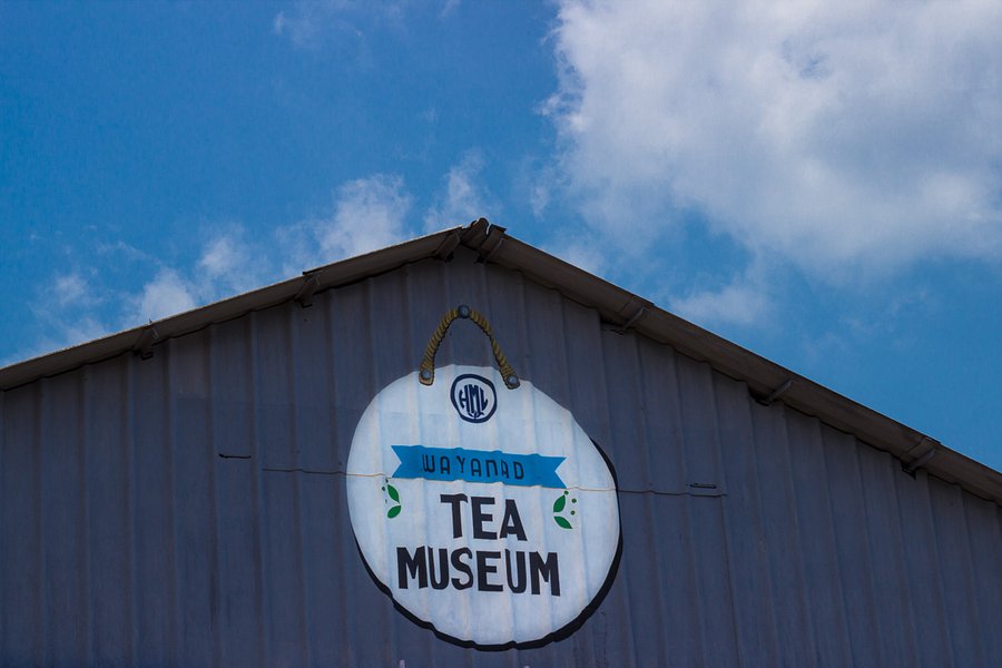 Wayanad Tea Museum image
