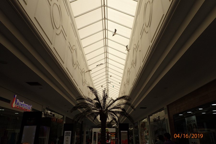 El Paseo Shopping Mall image