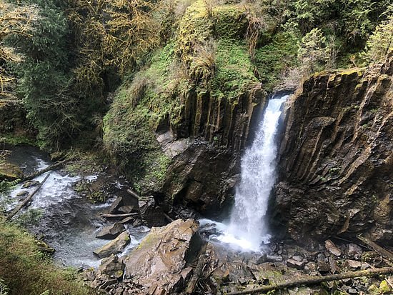 Drift Creek Falls Trail image