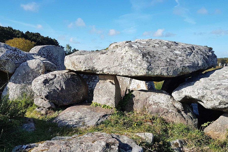 Megaliths of Carnac image