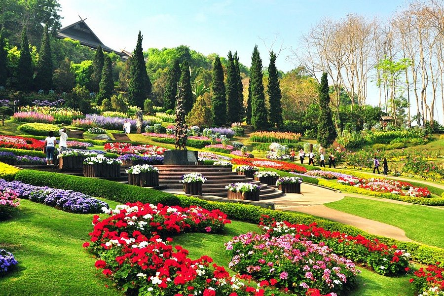 Doi Chang Mub Arboretum image