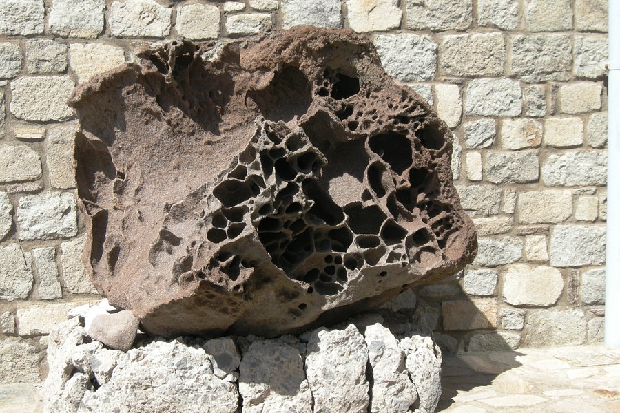 The Natural History Museum of the Lesvos Petrified Forest image