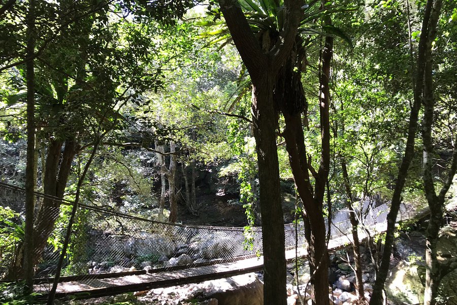 Minnamurra Falls image
