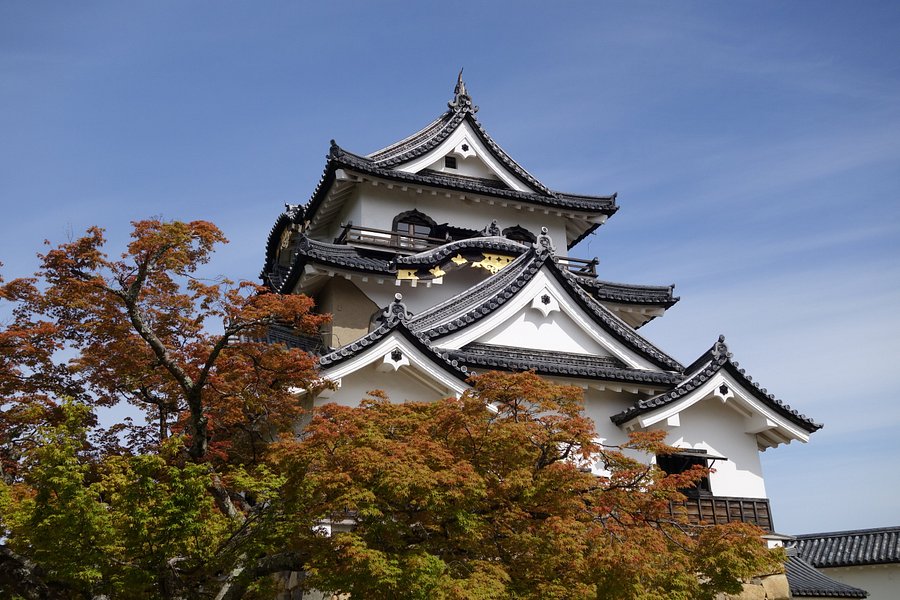 Hikone Castle image