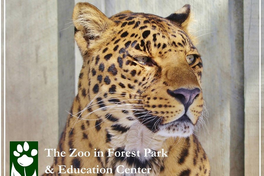 The Zoo in Forest Park & Education Center image