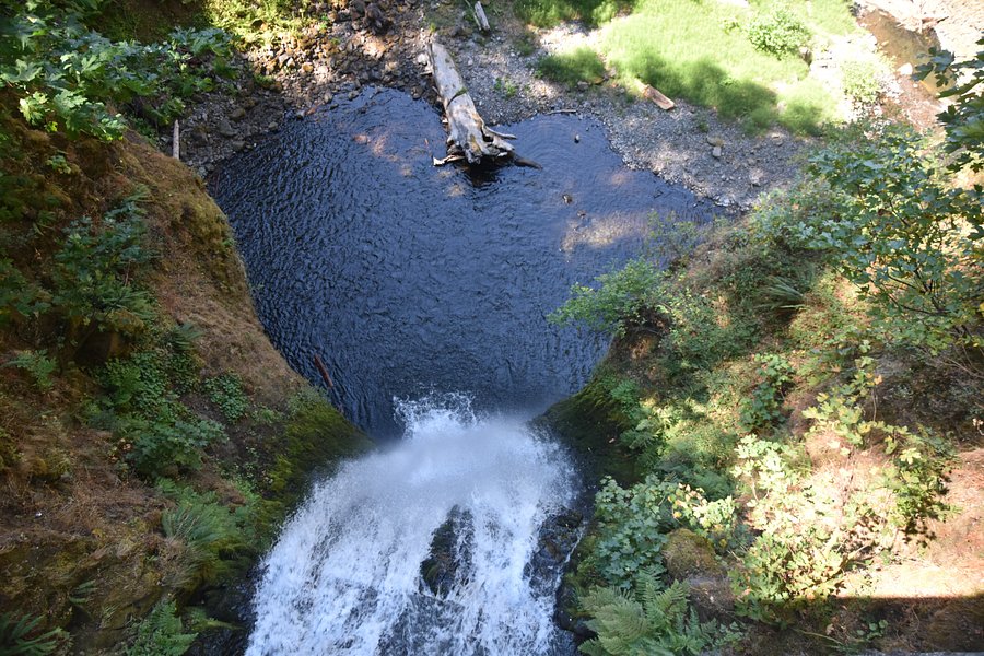 Multnomah Falls image