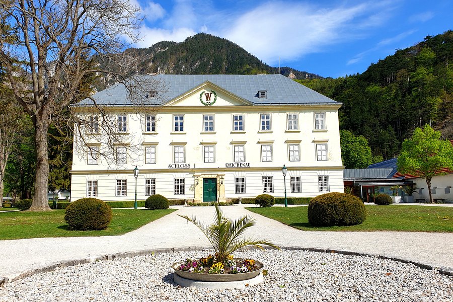 Schloss Reichenau image