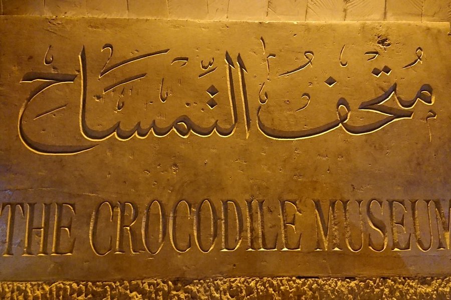 Crocodile Museum image