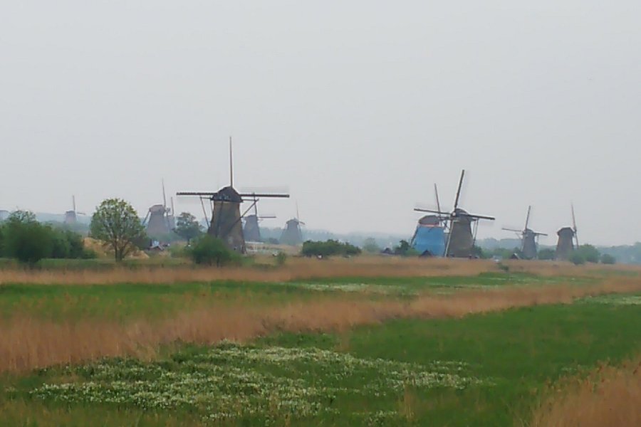 Travel Kinderdijk image