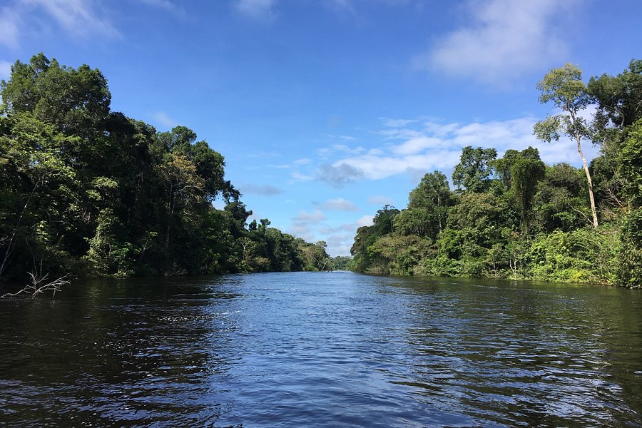 Amazon River image