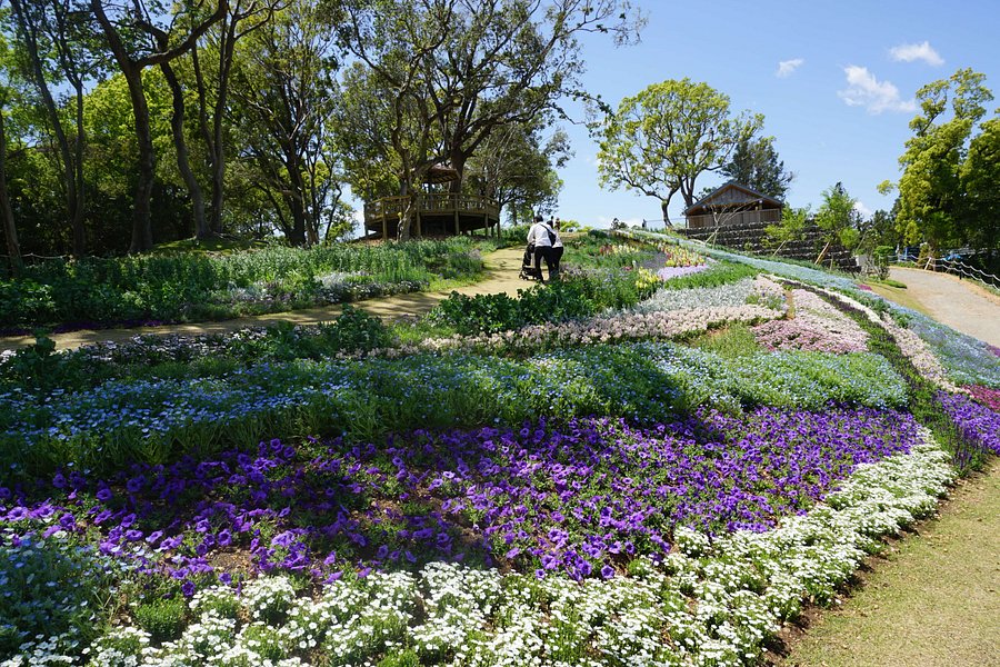 The Kochi Prefectural Makino Botanical Garden image