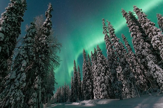 LappOne - The Five Senses of Lapland image