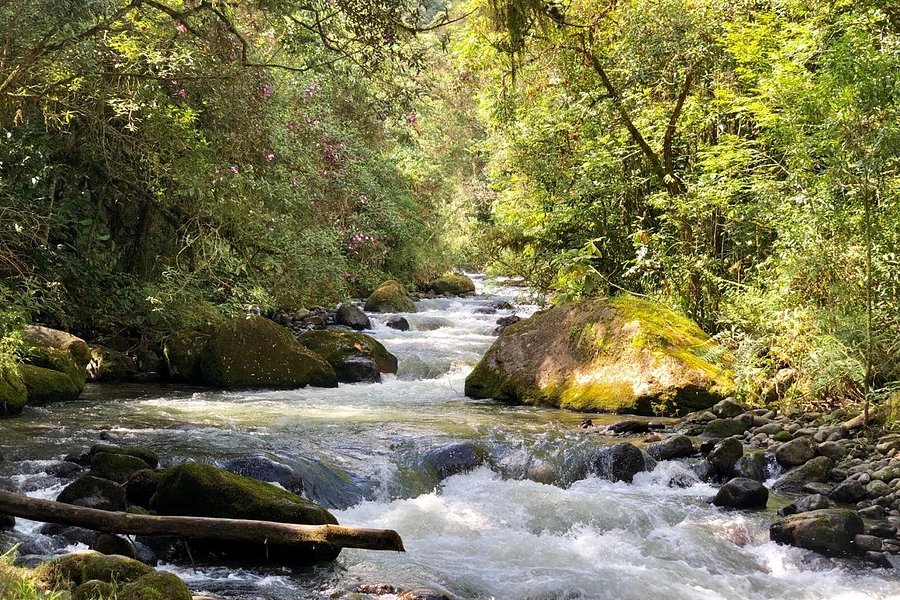 Parque Regional Natural Ucumari image