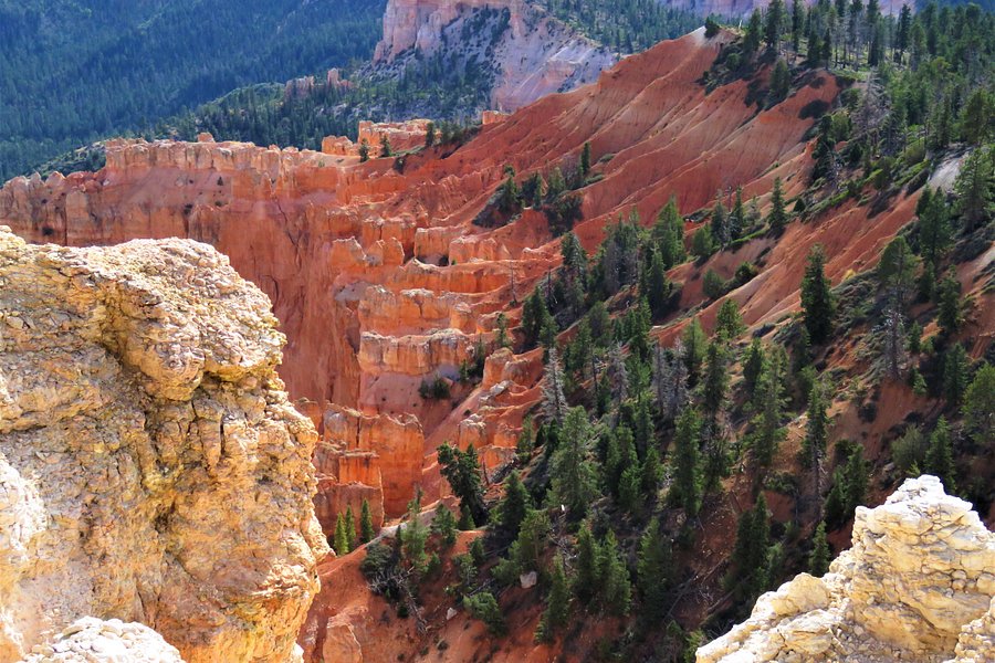 Bryce Canyon Scenic Drive image