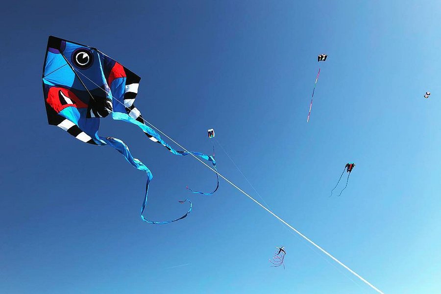 Livingston Kite Company image