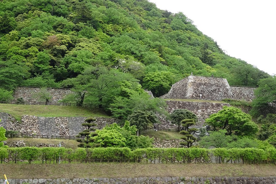Tottori Castle Ruins image