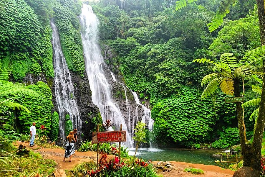 Banyumala Twin Waterfalls image