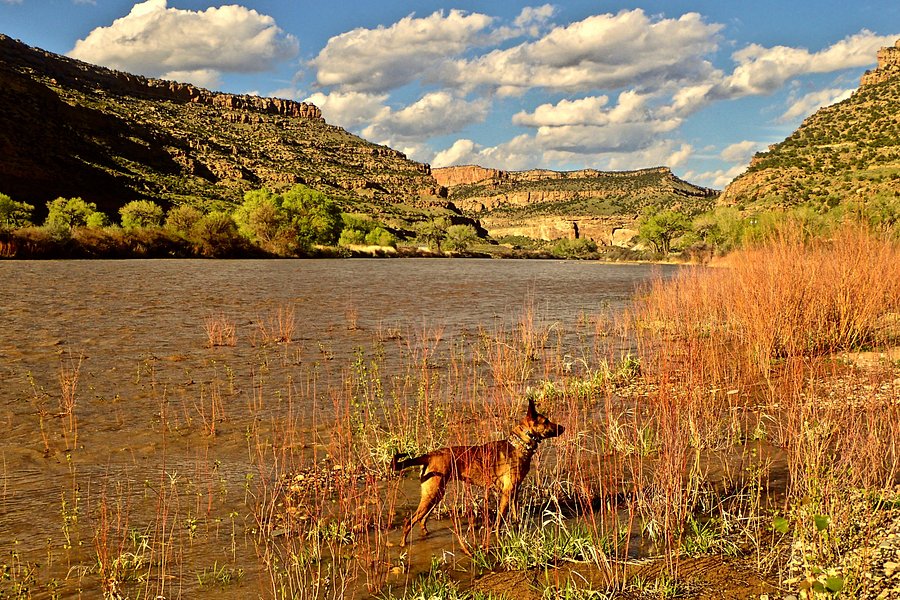 James M. Robb - Colorado River State Park image