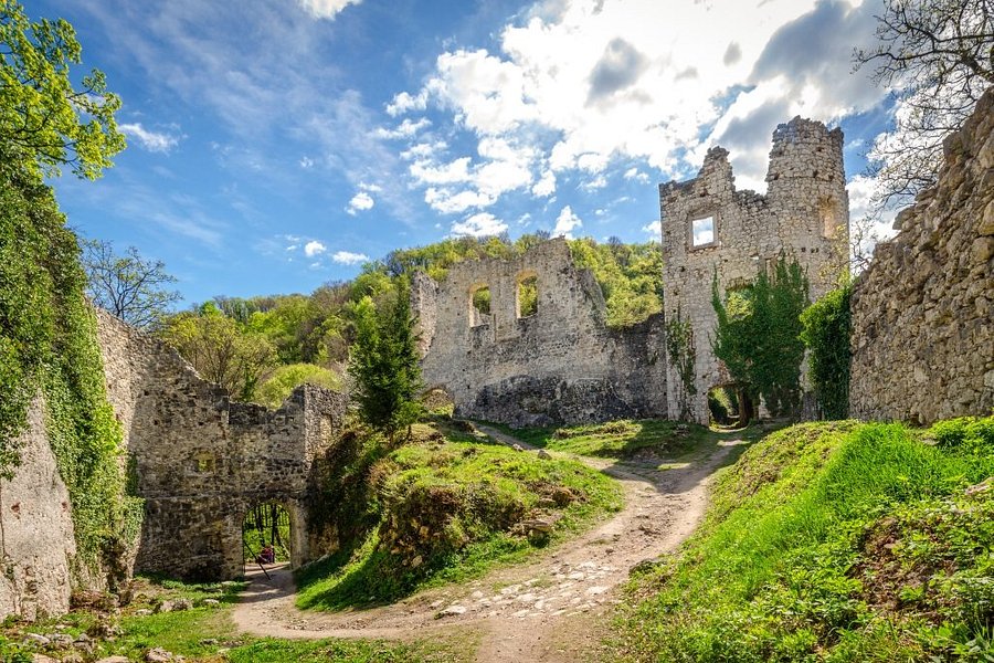 Samobor Castle image