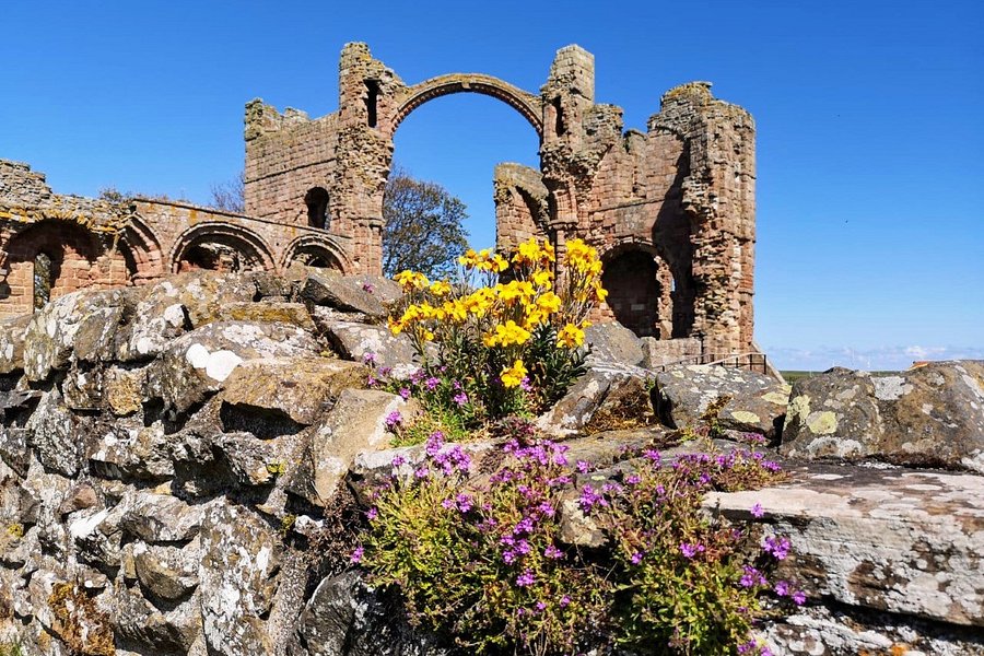 Lindisfarne Priory image