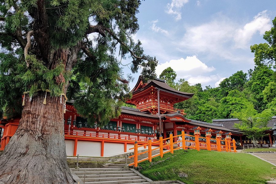 Kasuga Grand Shrine image