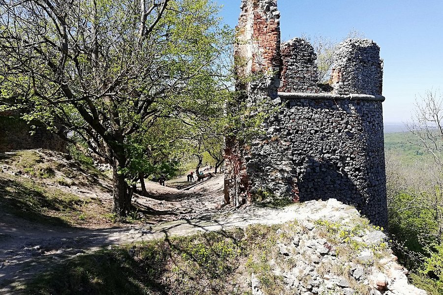 Pajstun Castle image