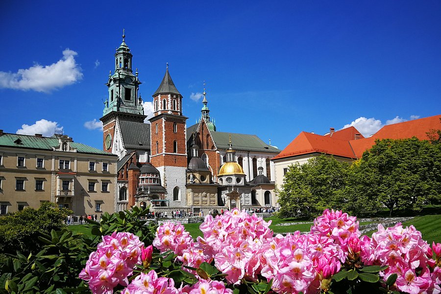 Wawel Cathedral image
