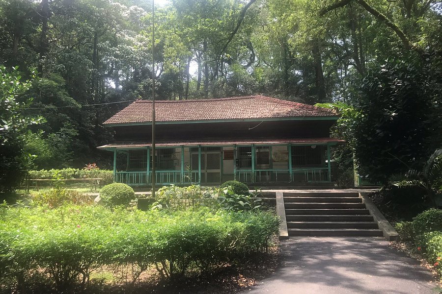 Jiayi Botanic Garden image