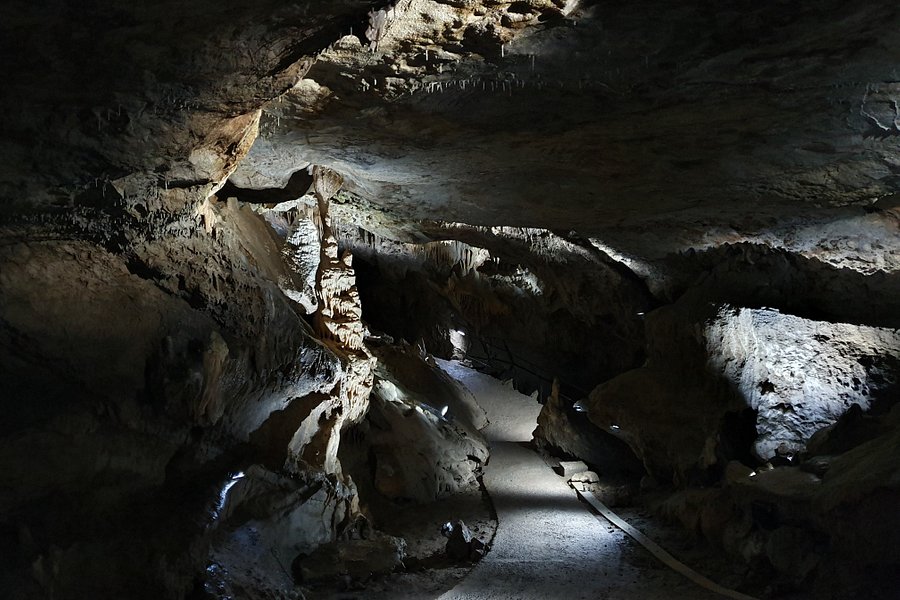 Grottes de Remouchamps image
