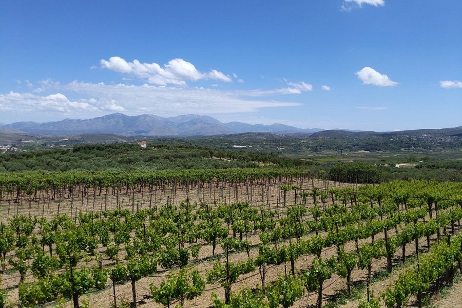 Winery Stilianou image