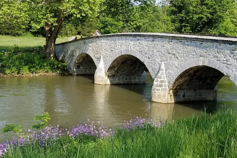 Burnside's Bridge image