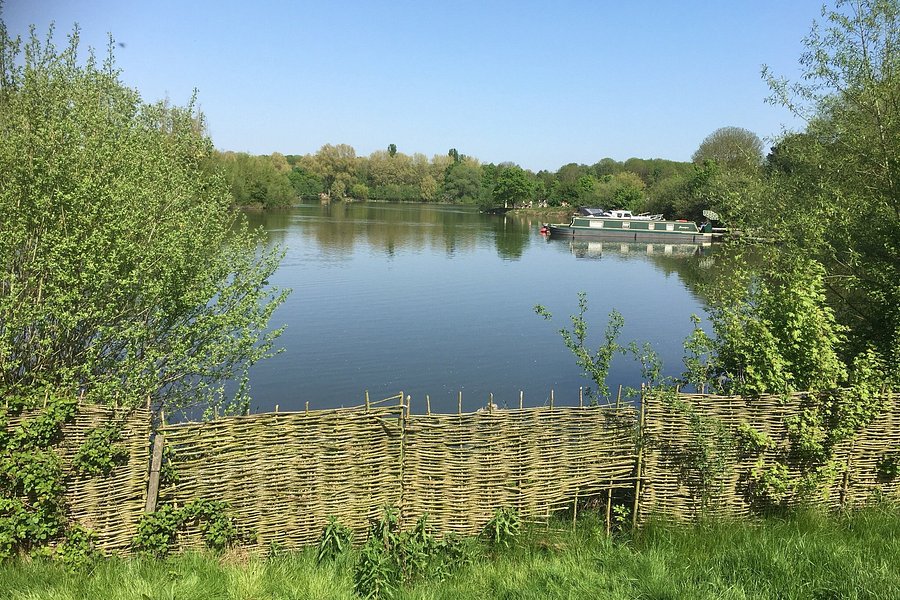 Ferry Meadows Country Park image