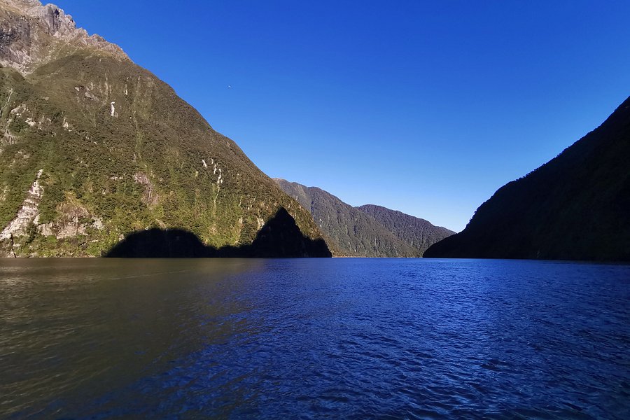 Southern Discoveries - Milford Sound Underwater Observatory image