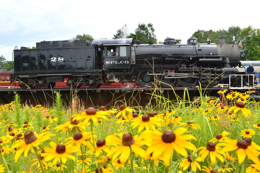 Texas State Railroad image