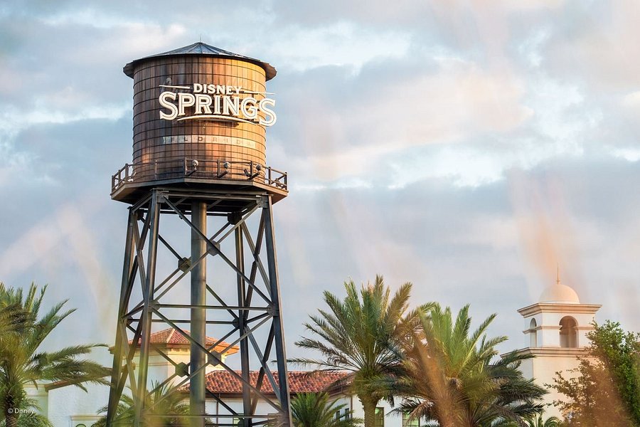 Disney Springs image