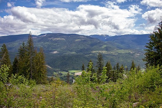 Sicamous Lookout image