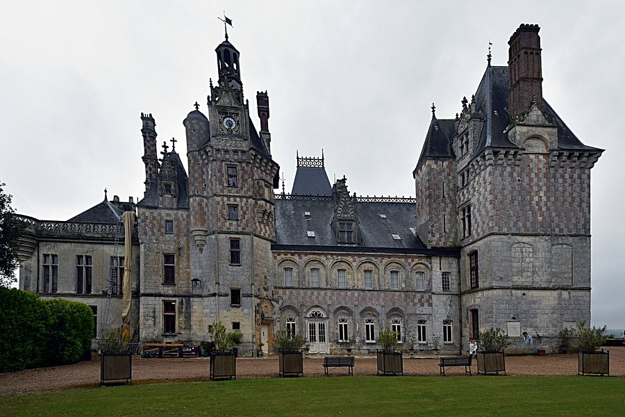 Chateau de Montigny-le-Gannelon image