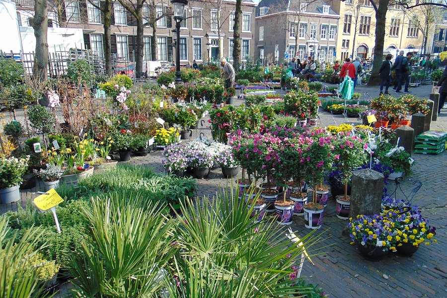 Bloemenmarkt, Janskerkhof, Utrecht image