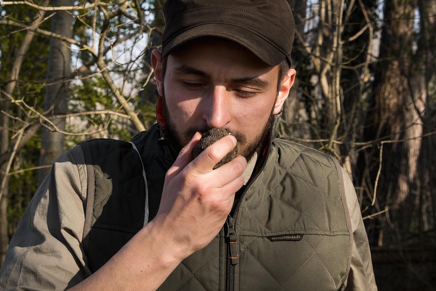 Svilicic truffle hunting image