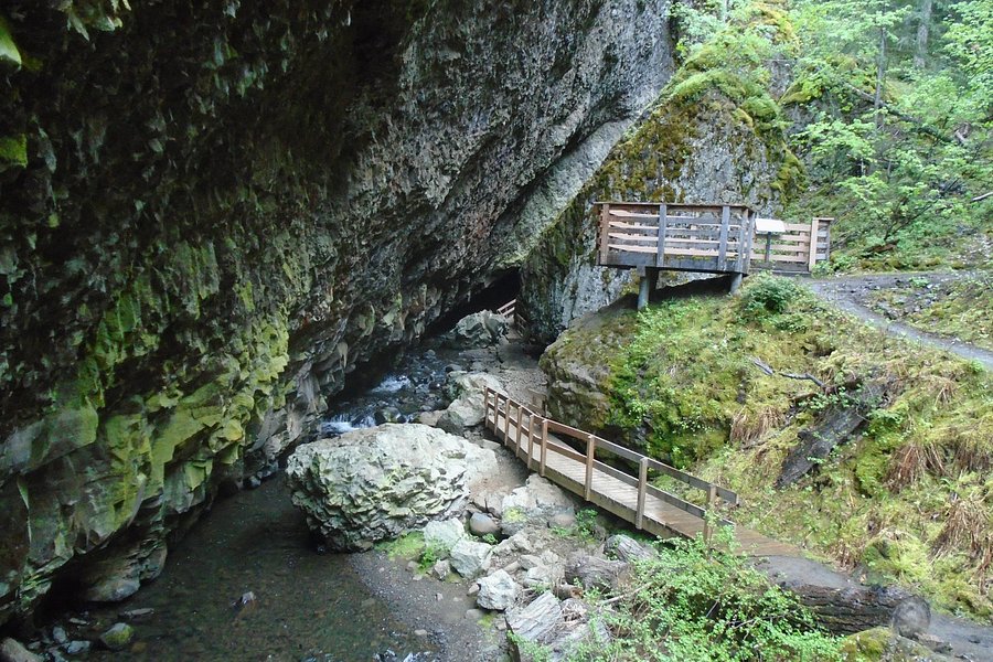 Boulder Cave Trail image