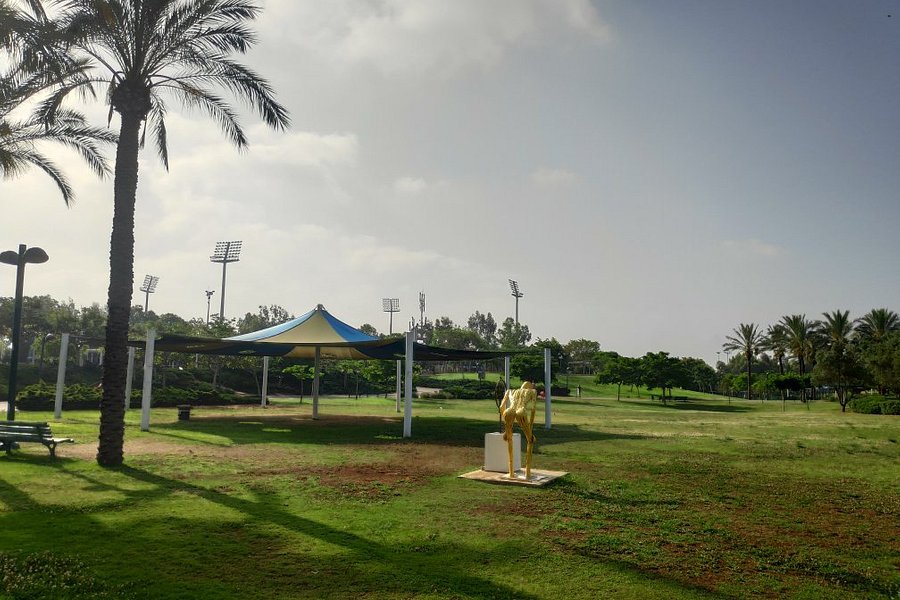 Kfar Saba Park image