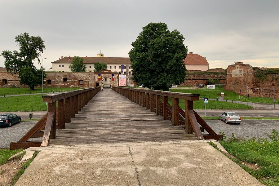 Oradea Fortress image
