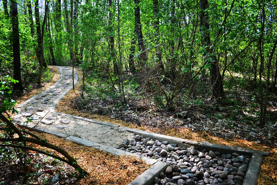 Eco Barefoot Park image
